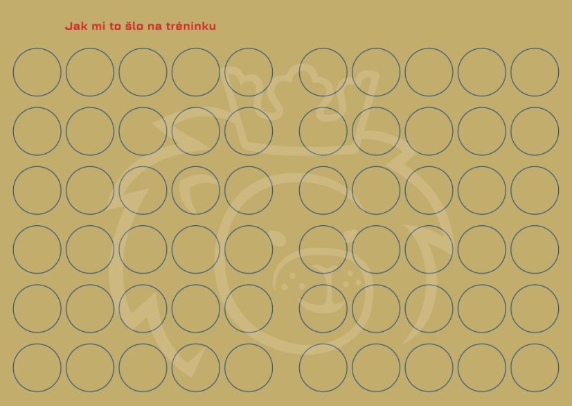 Průkaz mladého judisty